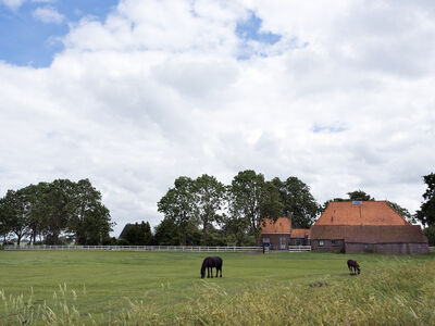 Woonboerderij_met_schuur,_paardenbak_en_weiland:_1