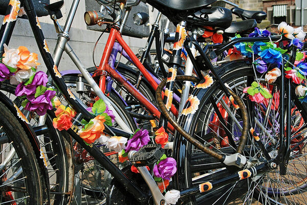 Meenemen_weesfiets_reden_voor_ontslag?